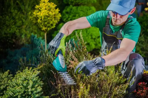 landscaping services South Canal